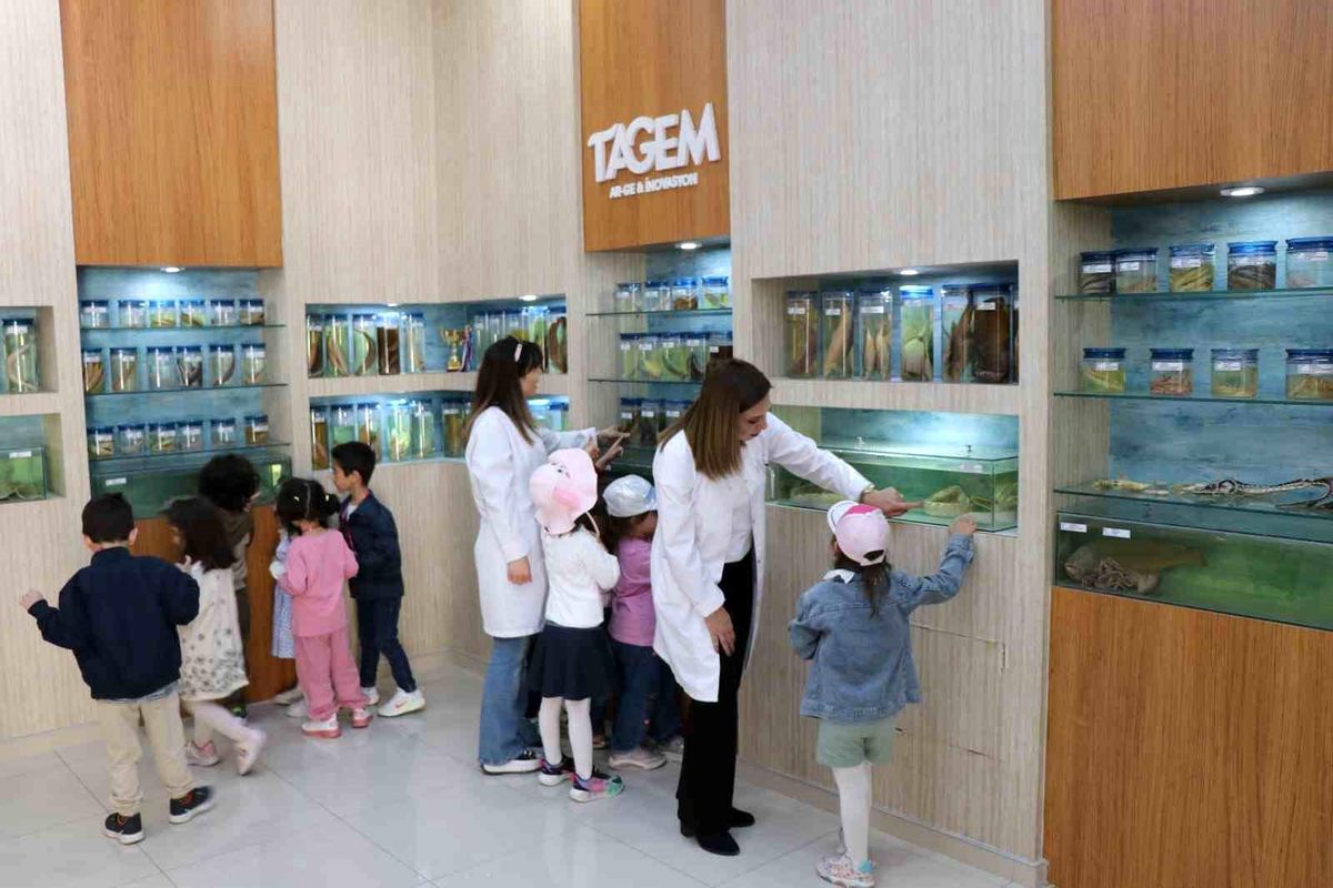 Anaokulu Öğrencileri Balık Müzesi’ni Ziyaret Etti