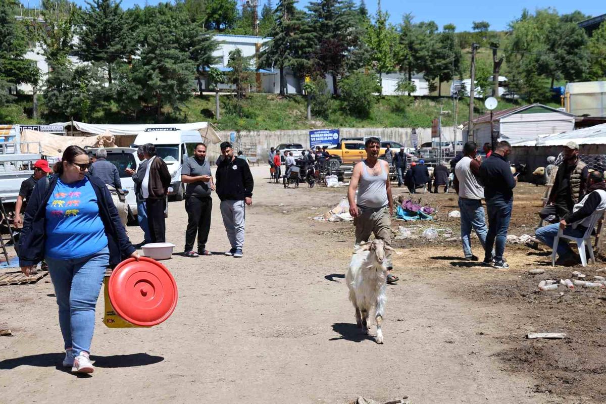 Elazığ’da Canlı Hayvan Pazarında Bayram Hareketliliği