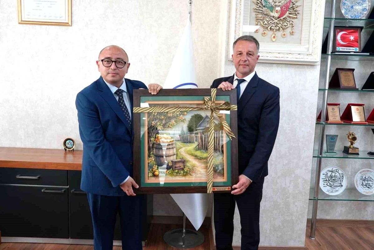 Erdemli ile Romanya’nın Braila kenti kardeş şehir oldu