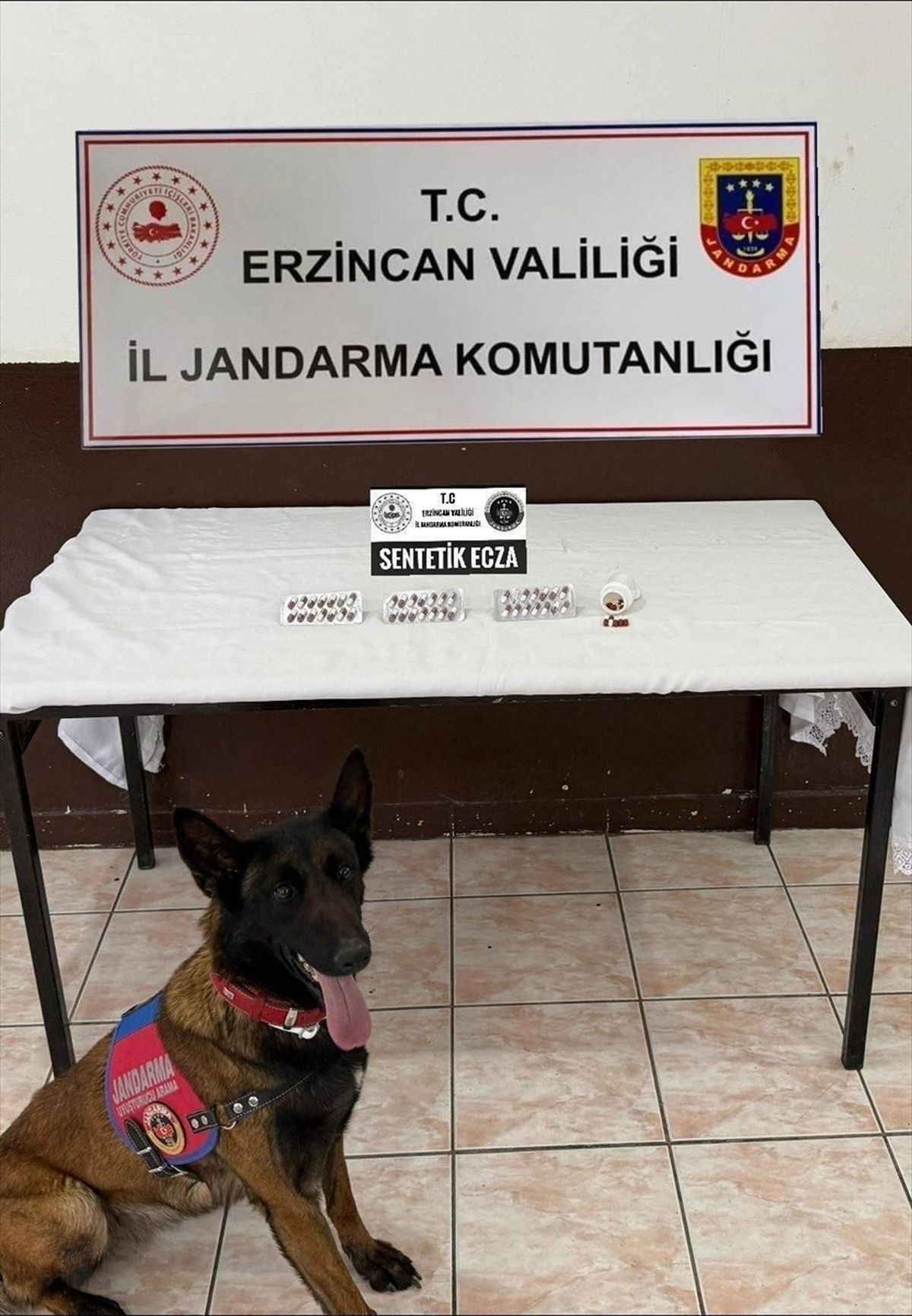 Erzincan’da DEAŞ ve Uyuşturucu Operasyonları