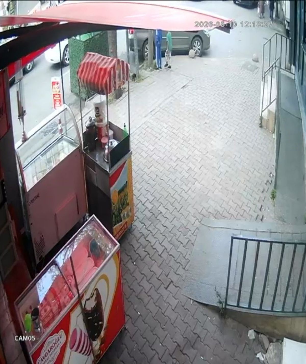 Esenler’de Çocuklardan Kediye Şiddet