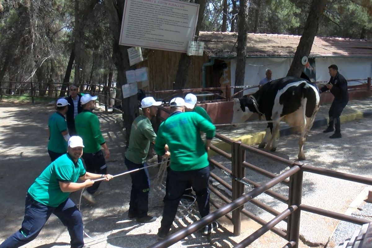 Gaziantep’te Kurban Yakalama Timi Kuruldu