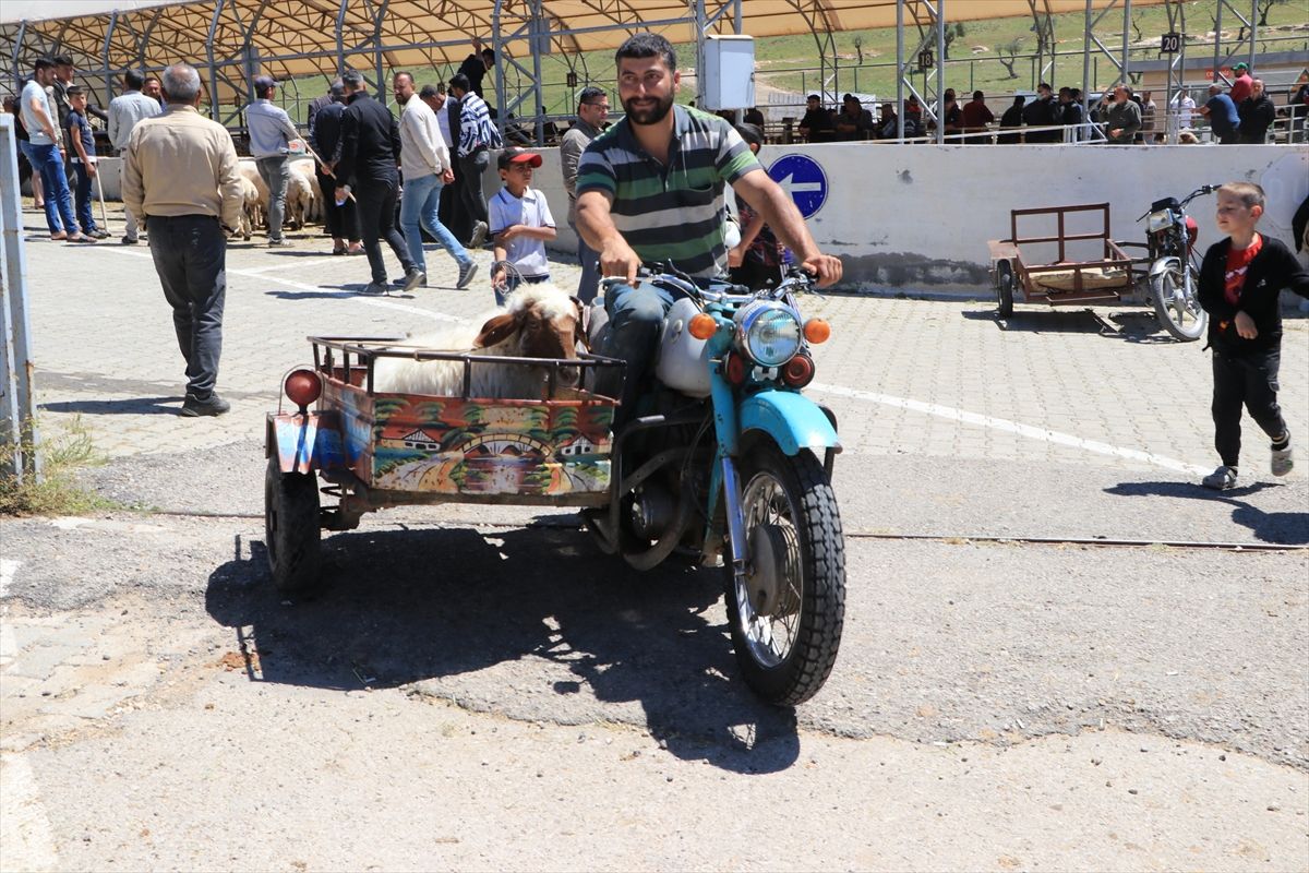 Kurbanlık pazarlarında hareketlilik sürüyor
