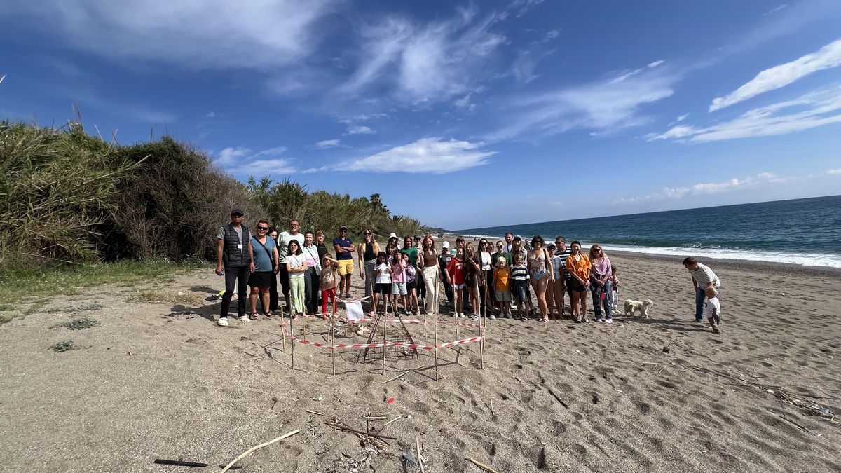 Gazipaşa’da Caretta Yumurtaları Koruma Altında