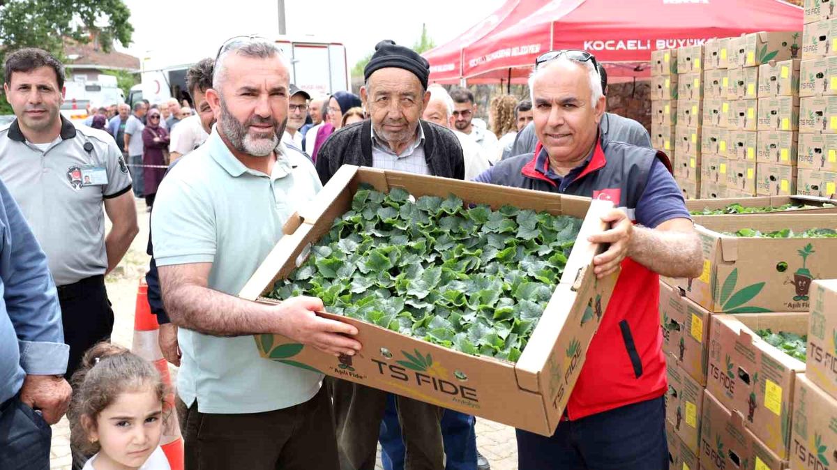 Gebzeli çiftçiye 500 bin sebze fidesi desteği