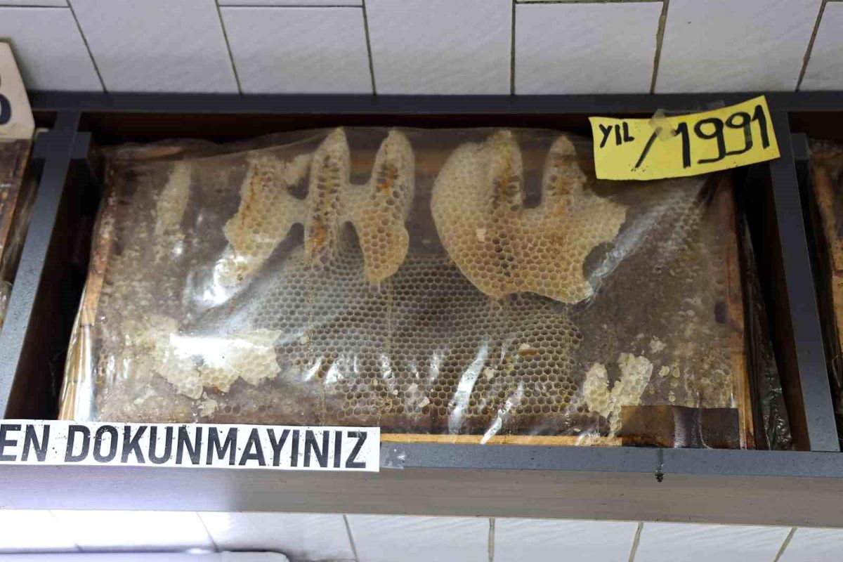 Sivas’ta 35 Yıllık Bal Çerçeveleri İlgi Çekiyor