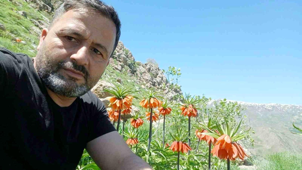 Hakkari’de Ters Lale Güzelliği