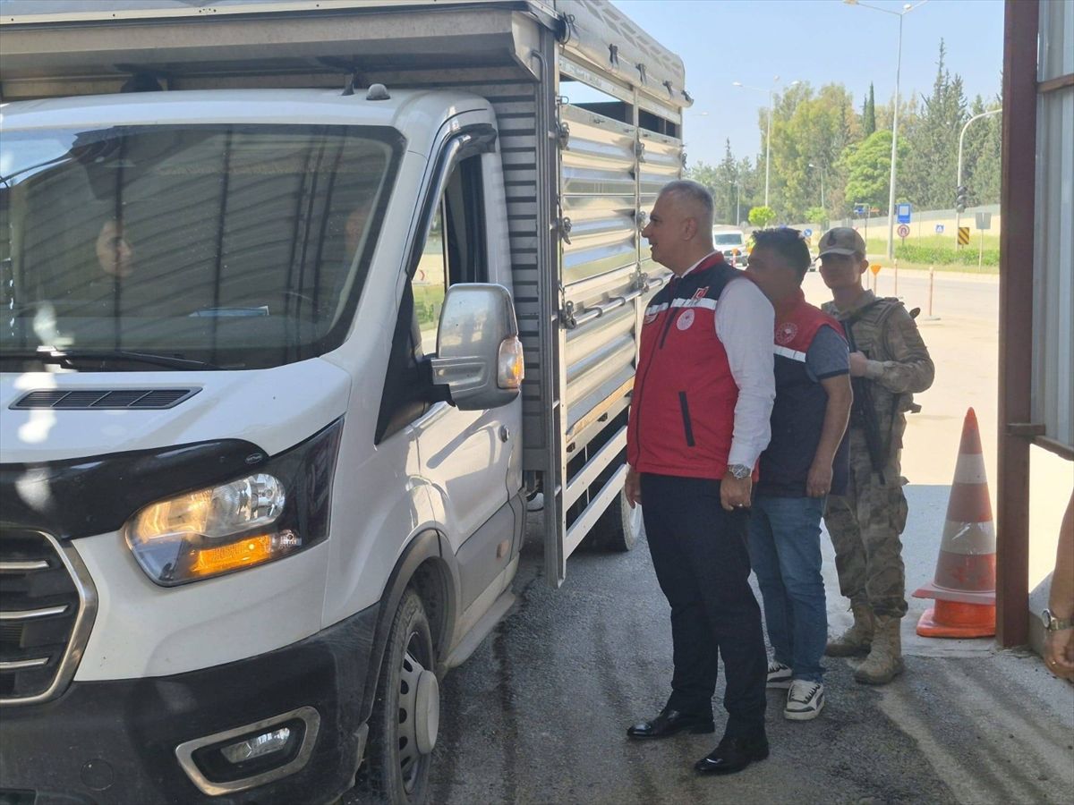 Antakya’da Hayvan Taşıma Denetimi