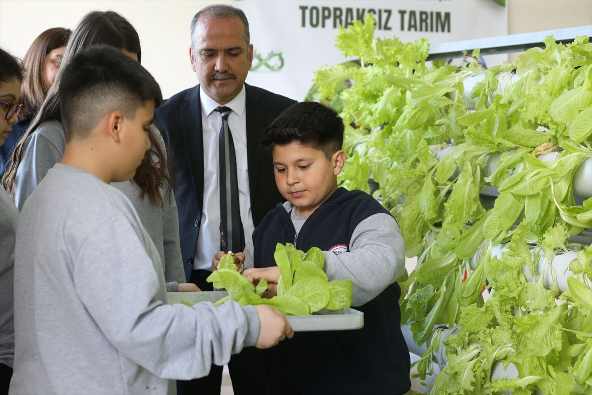 Dörtyol’da Öğrenciler Topraksız Tarım Yetiştiriyor