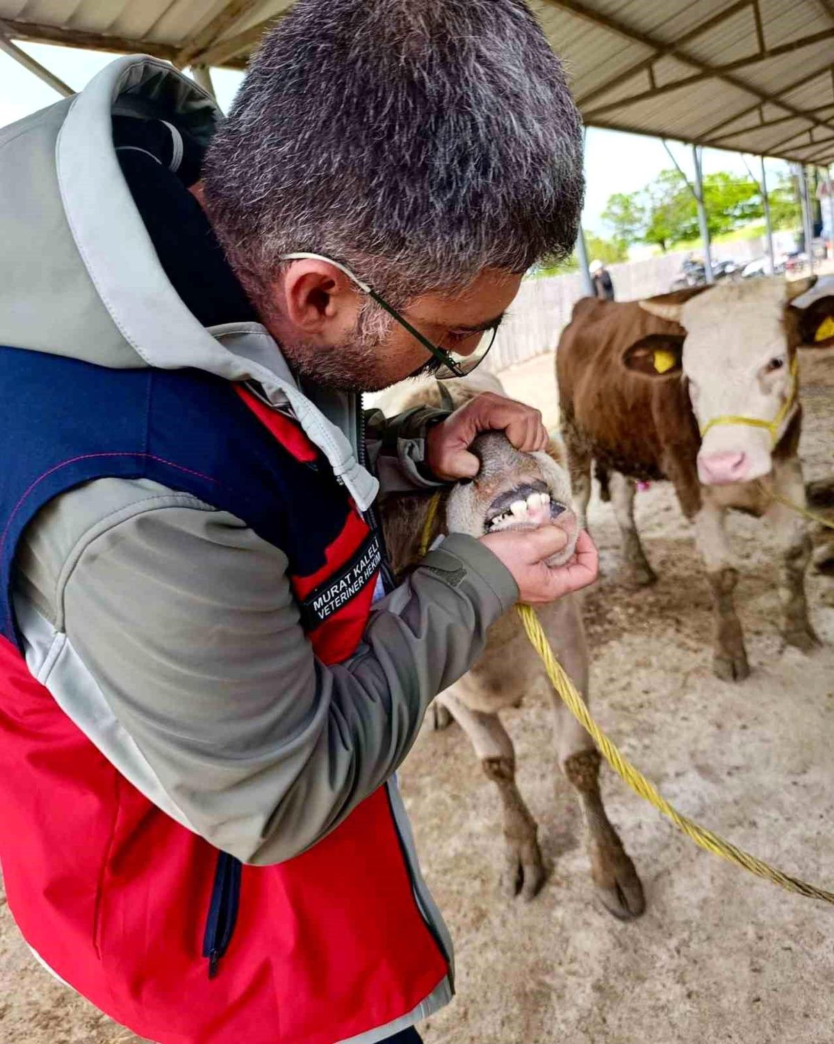 Kurban Bayramı Denetimleri Devam Ediyor