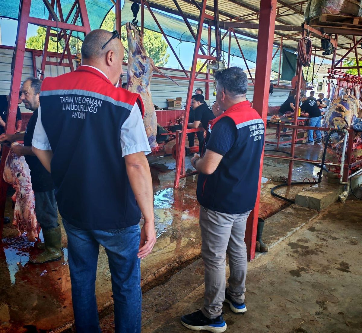 Nazilli’de Hijyenik Kurban Kesimi