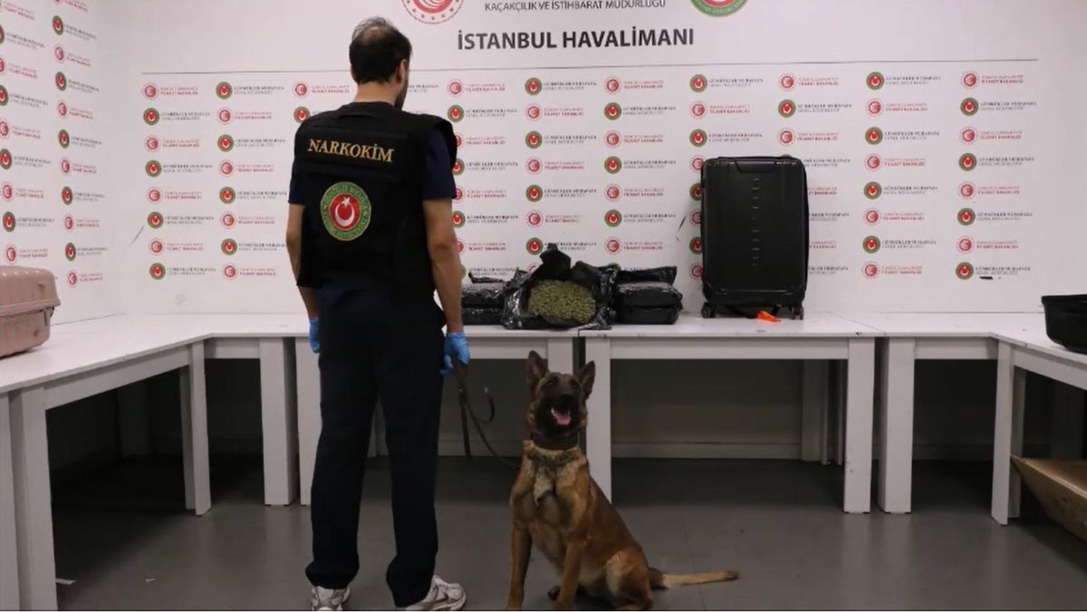 Tayland’dan Londra’ya Uçan İki İngiliz Uyuşturucu ile Yakalandı