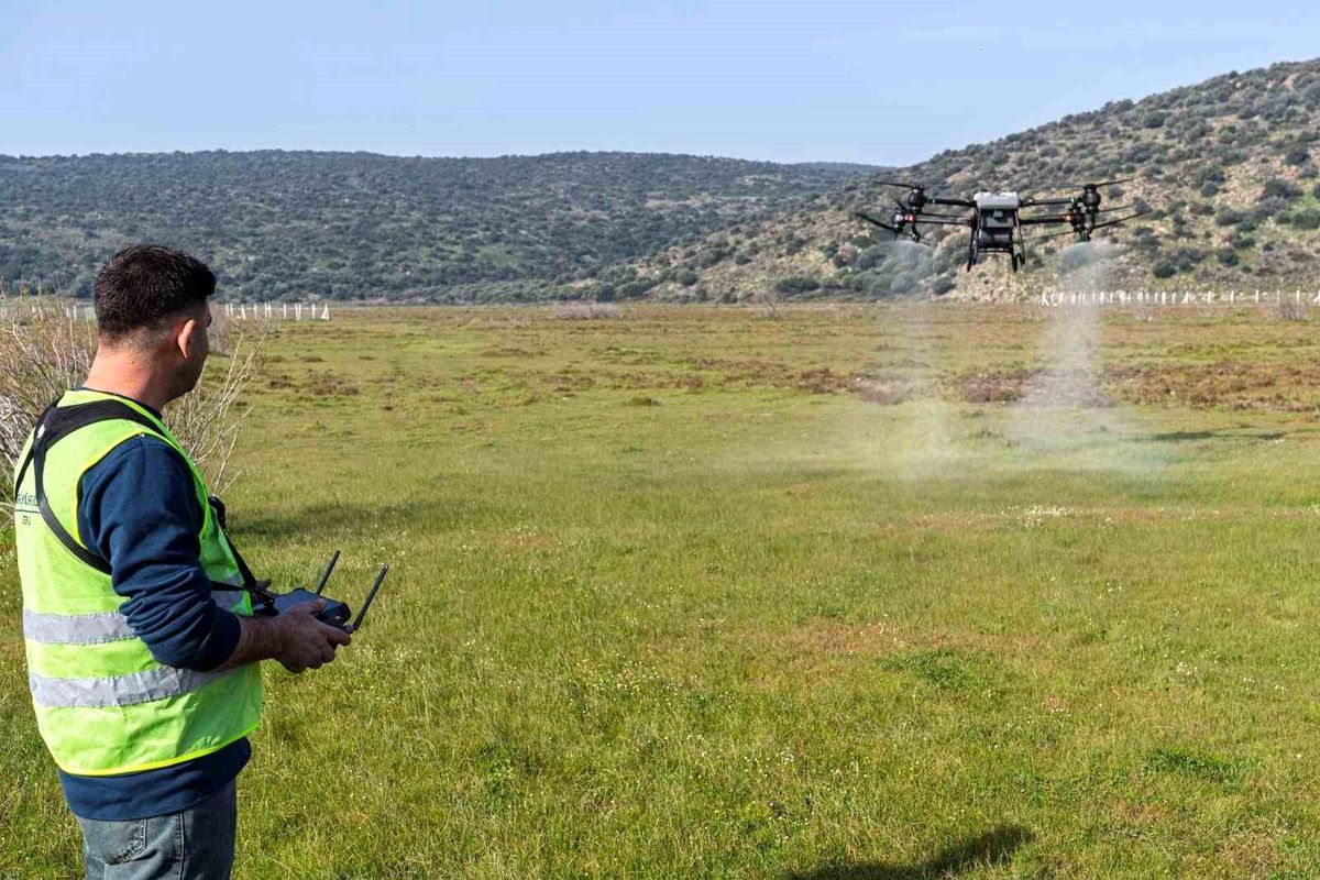 İzmir’de kurban pazarlarında ‘organik’ ve ‘dron’lu ilaçlama