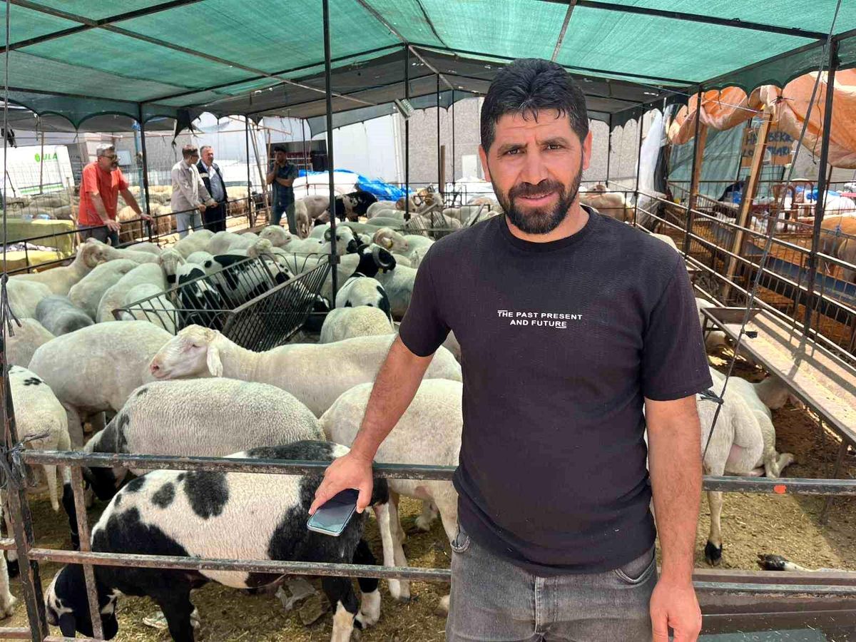 Sosyal Medya ile Kurbanlık Seçimi