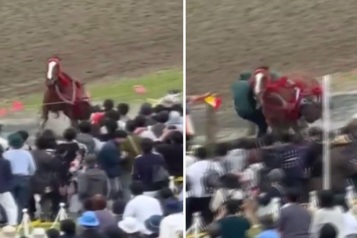 Japonya’da festivalde at kalabalığın arasına daldı: 6 yaralı