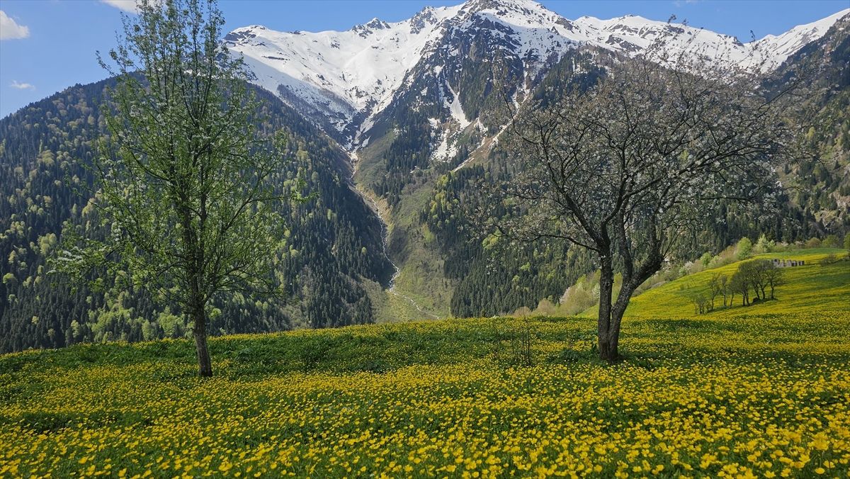 Kaçkar Dağları’nda Bahar Manzarası