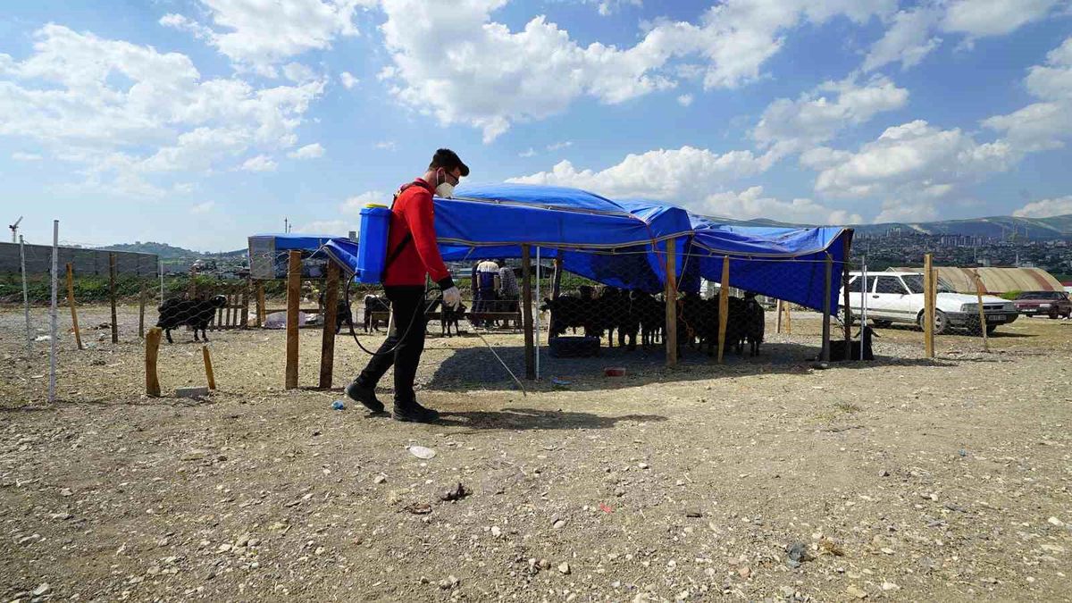 Kahramanmaraş’ta bayram temizliği ve ilaçlama çalışmaları sürüyor