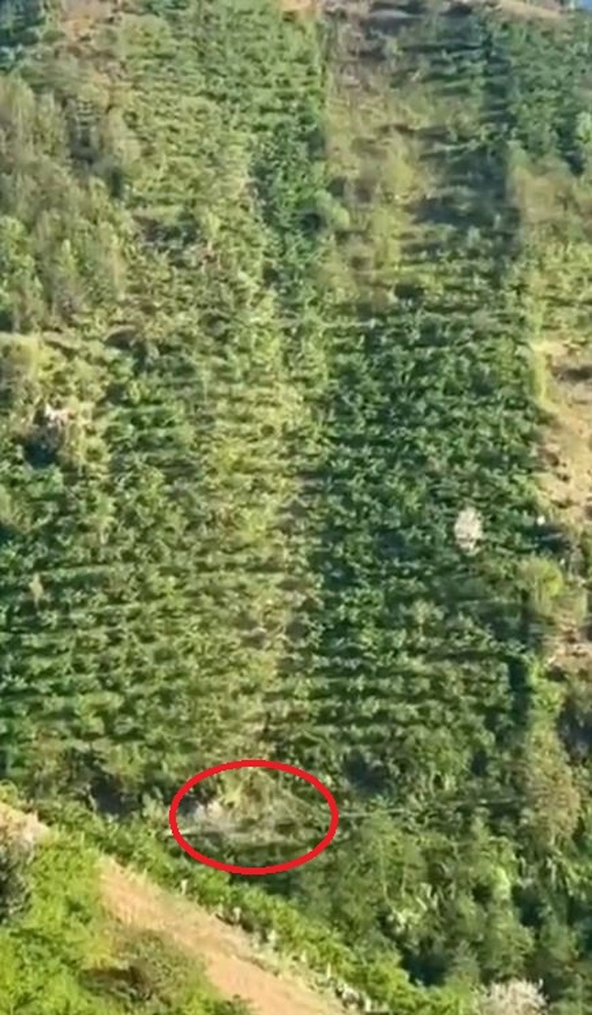 Giresun’da Takla Atan Kamyonet Kazası
