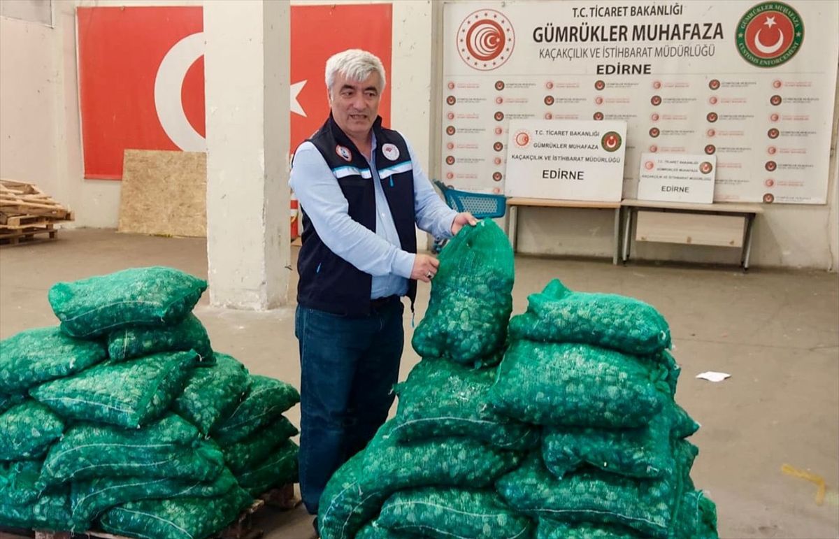 Edirne’de 760 kg Kum Midyesi Ele Geçirildi