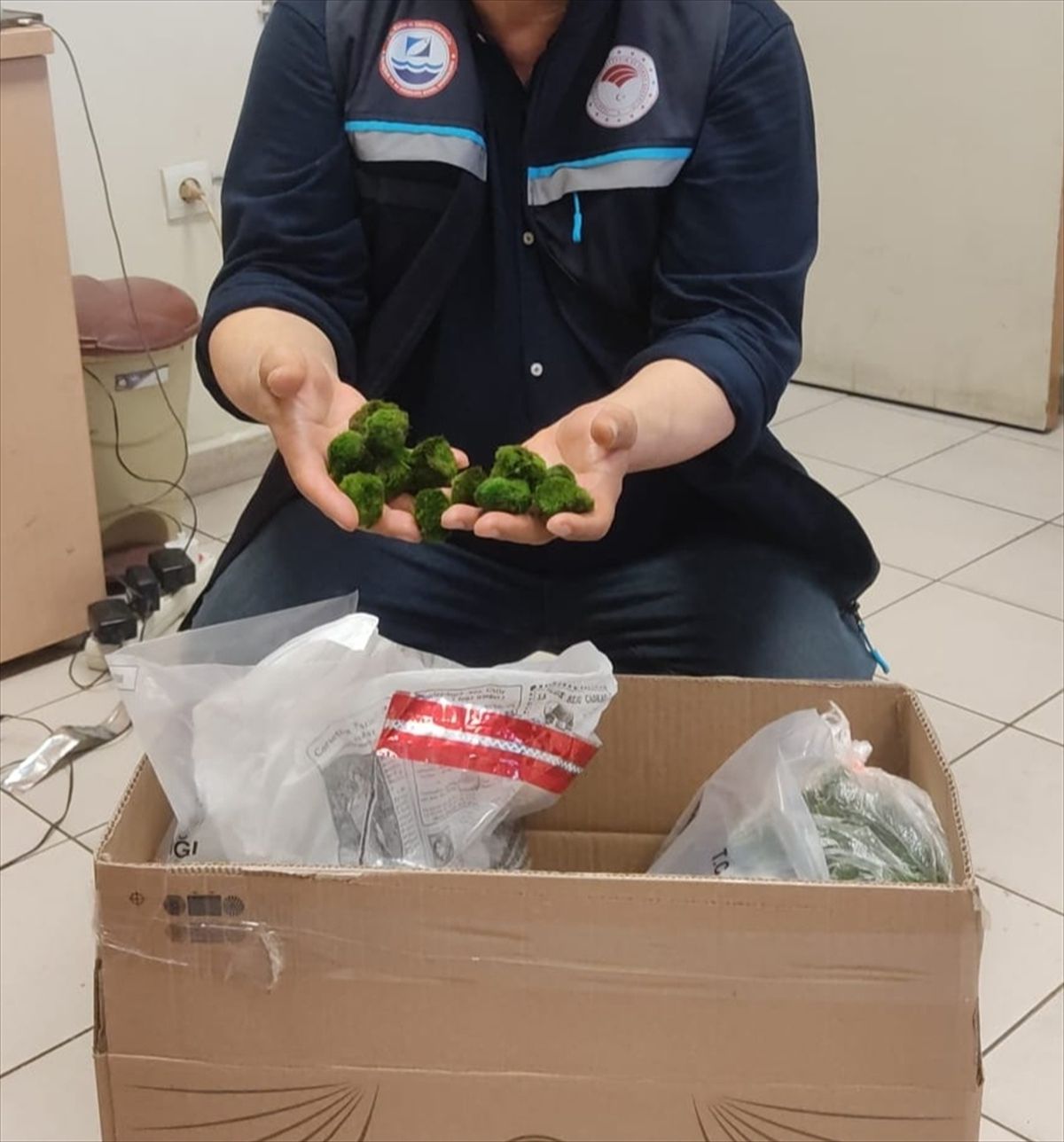 Kapıkule’de 2 bin 125 canlı yeşil alg ele geçirildi