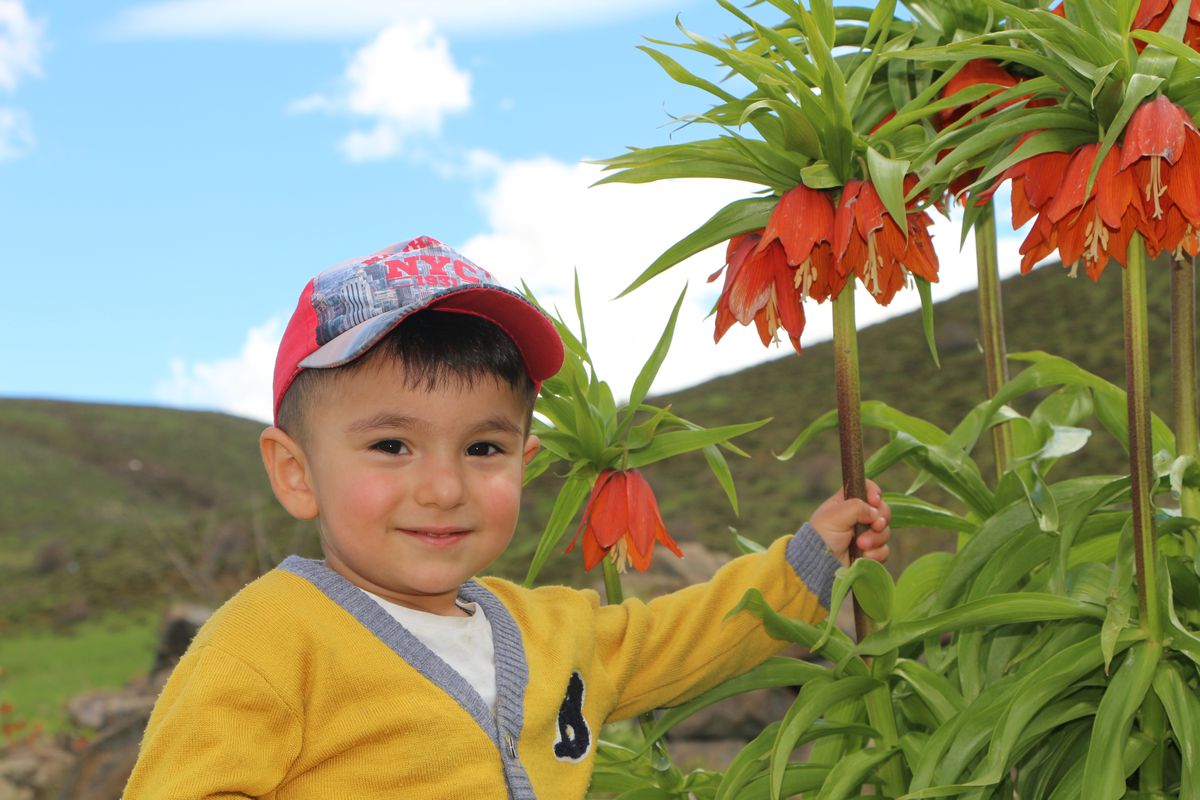 Karlıova’da Ters Laleler Açtı