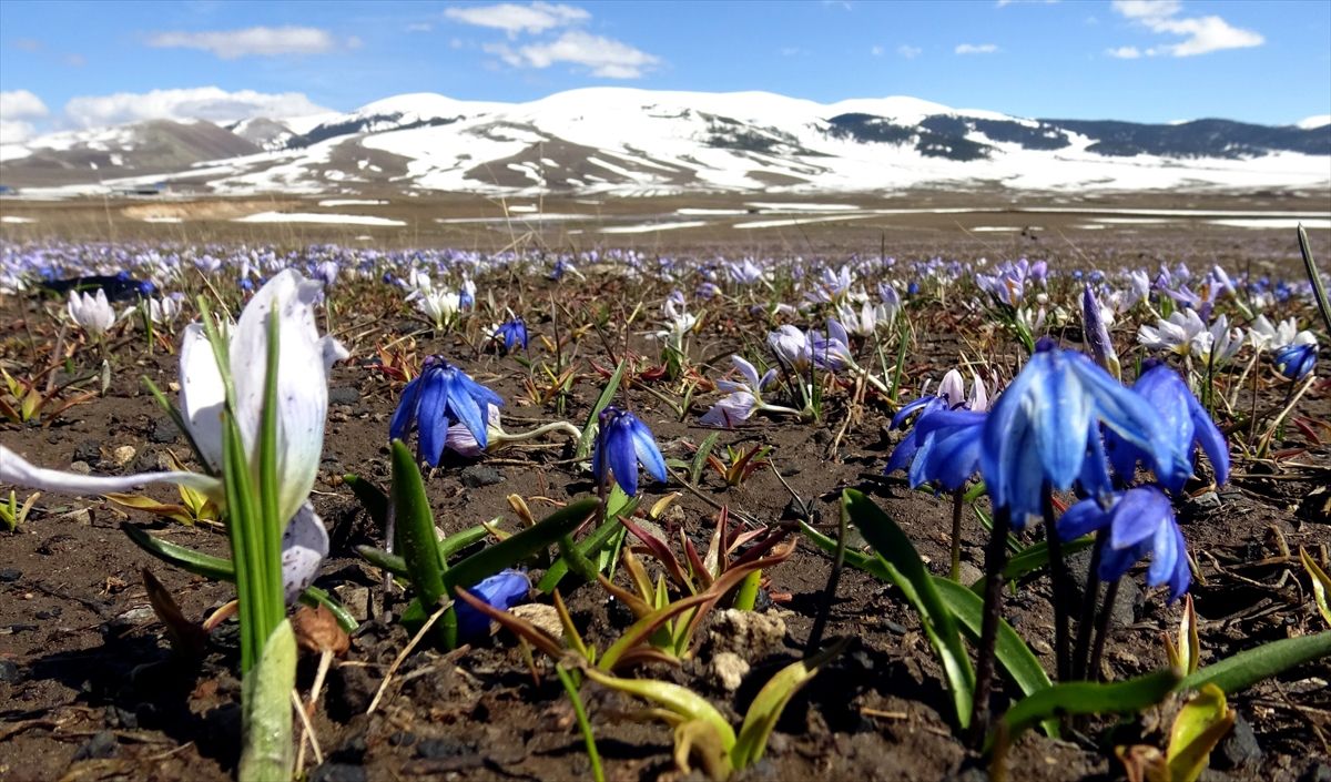 Kars’ta Doğa Canlanıyor