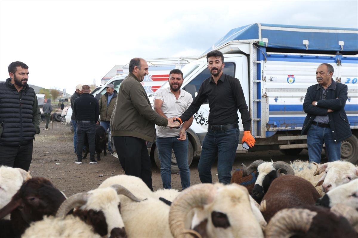 Kars ve Ardahan’da Kurbanlık Yoğunluğu