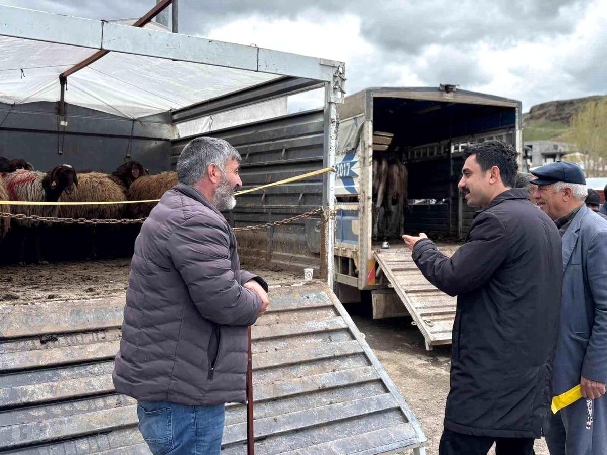 Kars’ta Kurban Bayramı Hazırlıkları