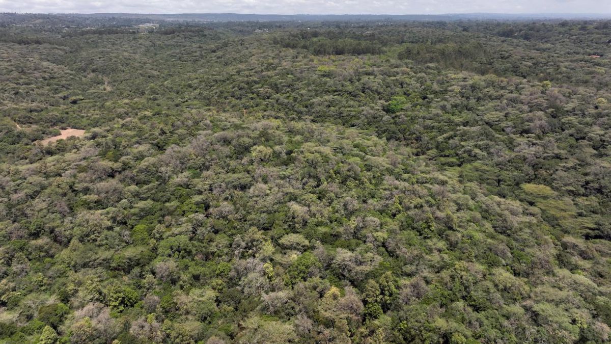 Kenya’da BP’ye Dava Açıldı