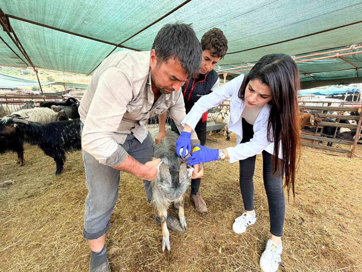 Kepez’de kurban satış ve kesim yerleri denetim altında