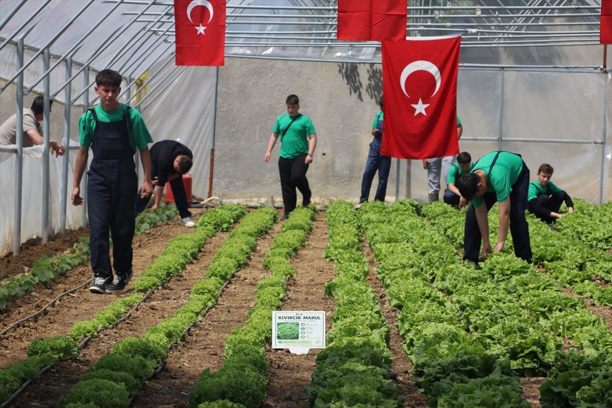 Keşan’da Lisede Serada Hasat Yapıldı
