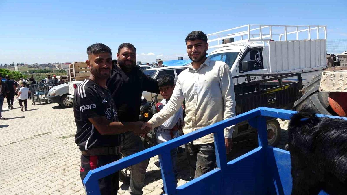 Kilis’te Kurbanlık Pazarında Hareketlilik