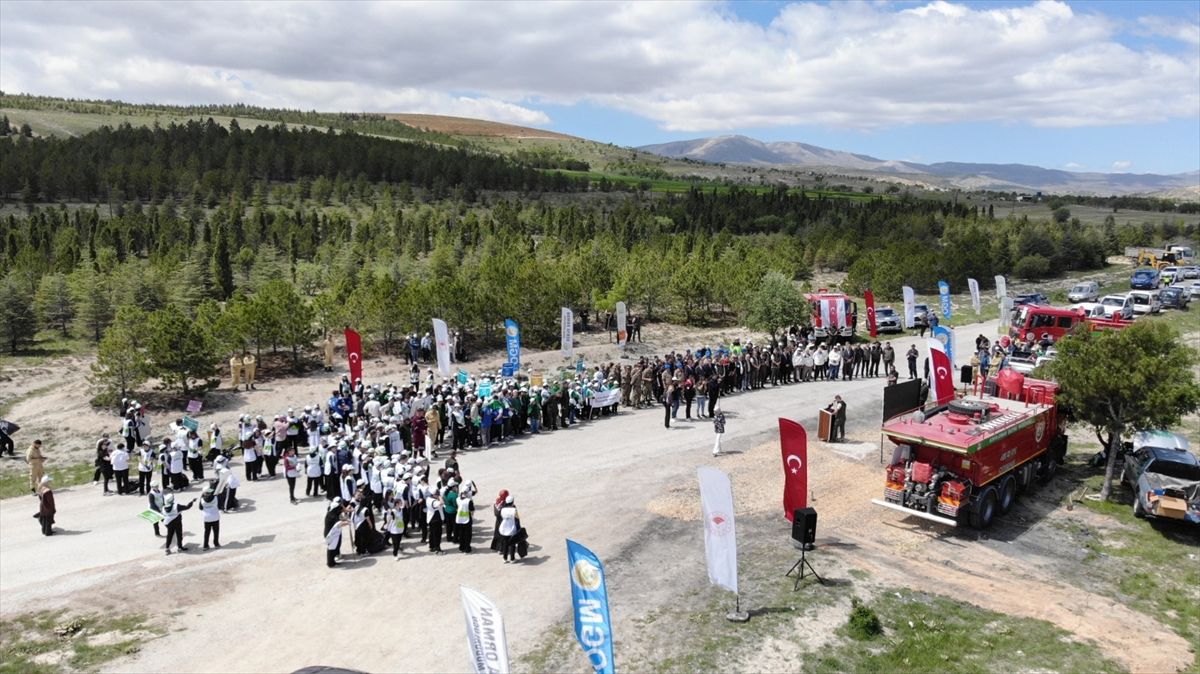 Orman Benim Kampanyası: 15 Ton Atık Toplandı