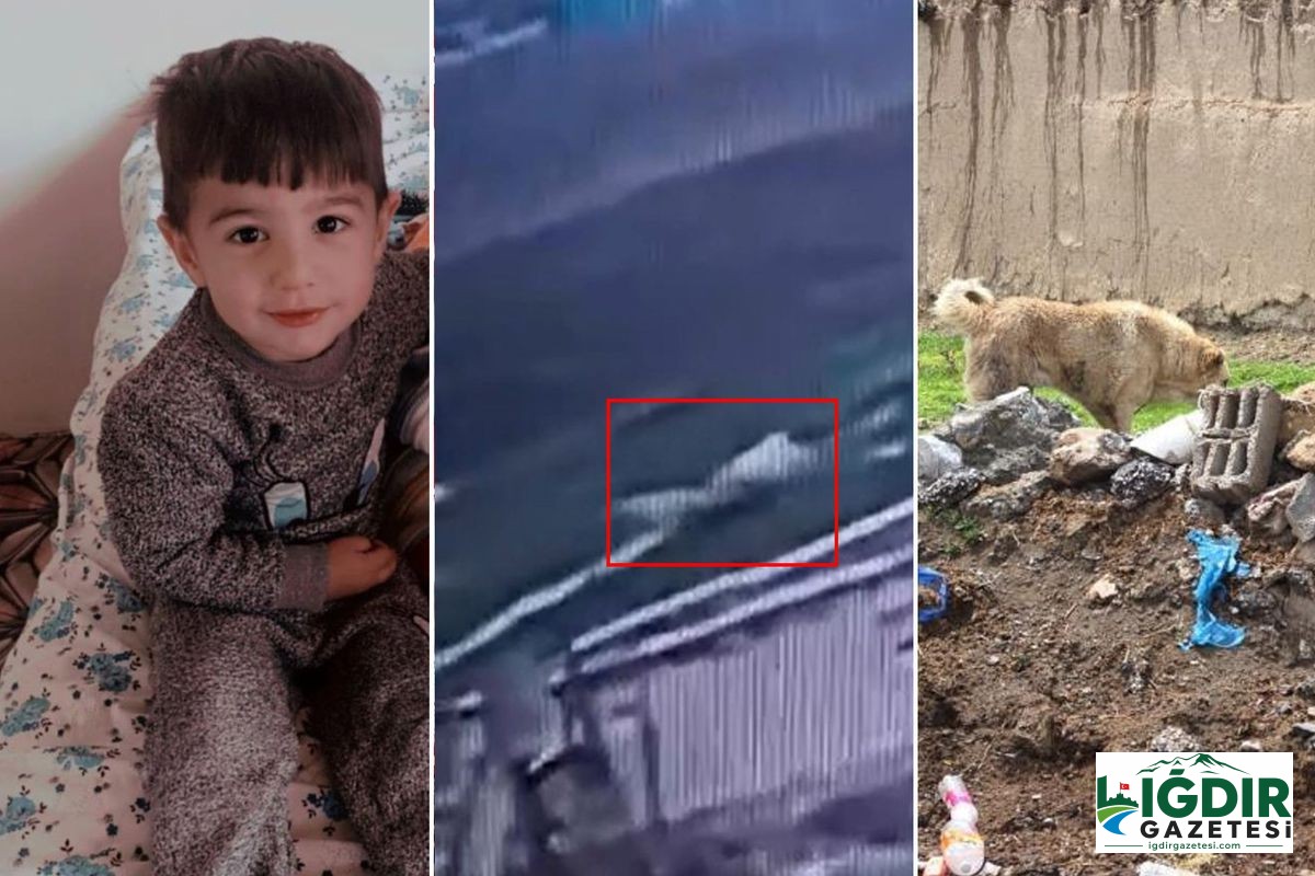 5 yaşındaki Hamza’nın can verdiği köpek dehşetinin görüntüleri ortaya çıktı