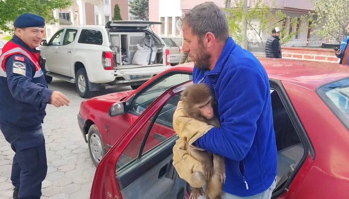 Yozgat’ta Yasaklı Maymun Koruma Altına Alındı