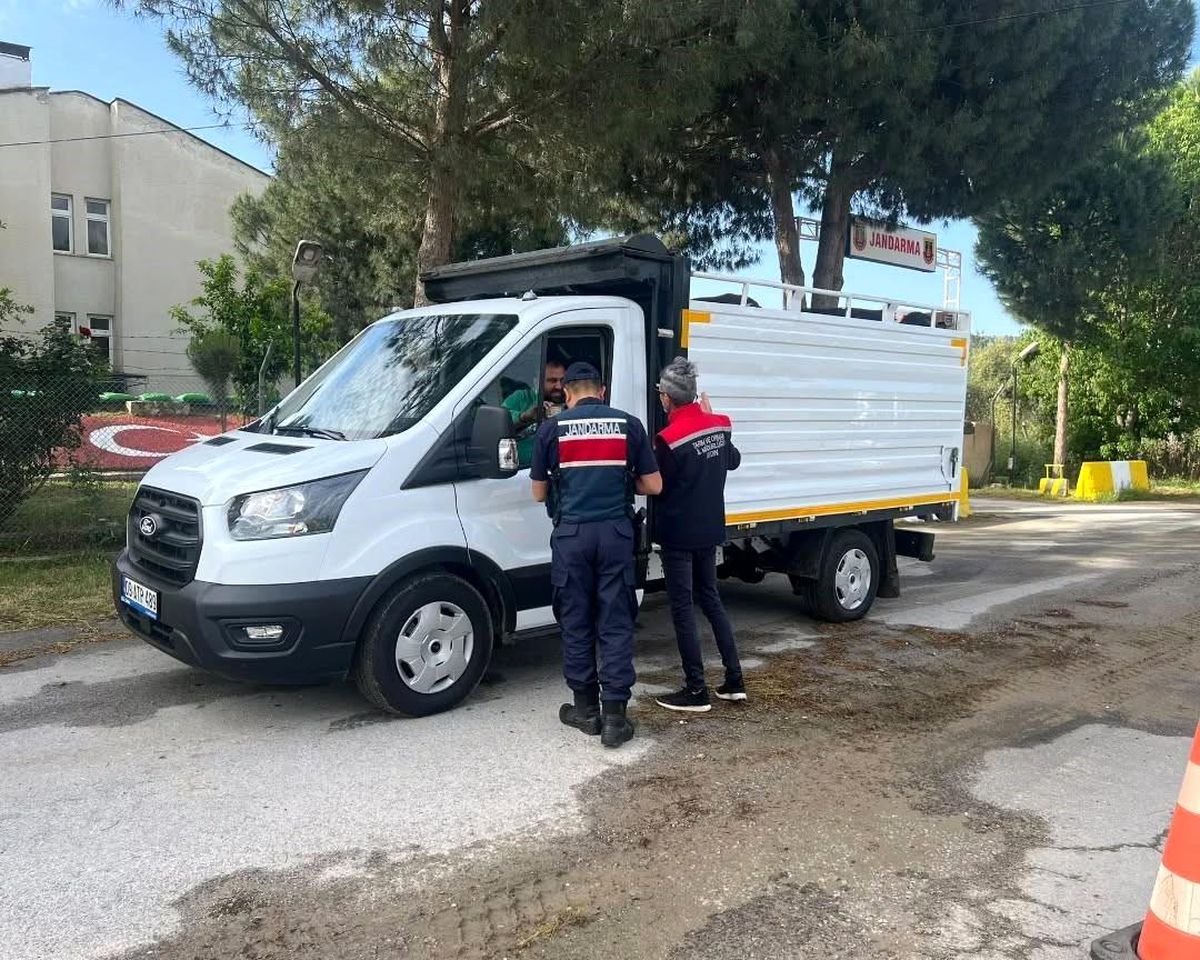 Aydın’da Kurban Denetimleri Artırıldı