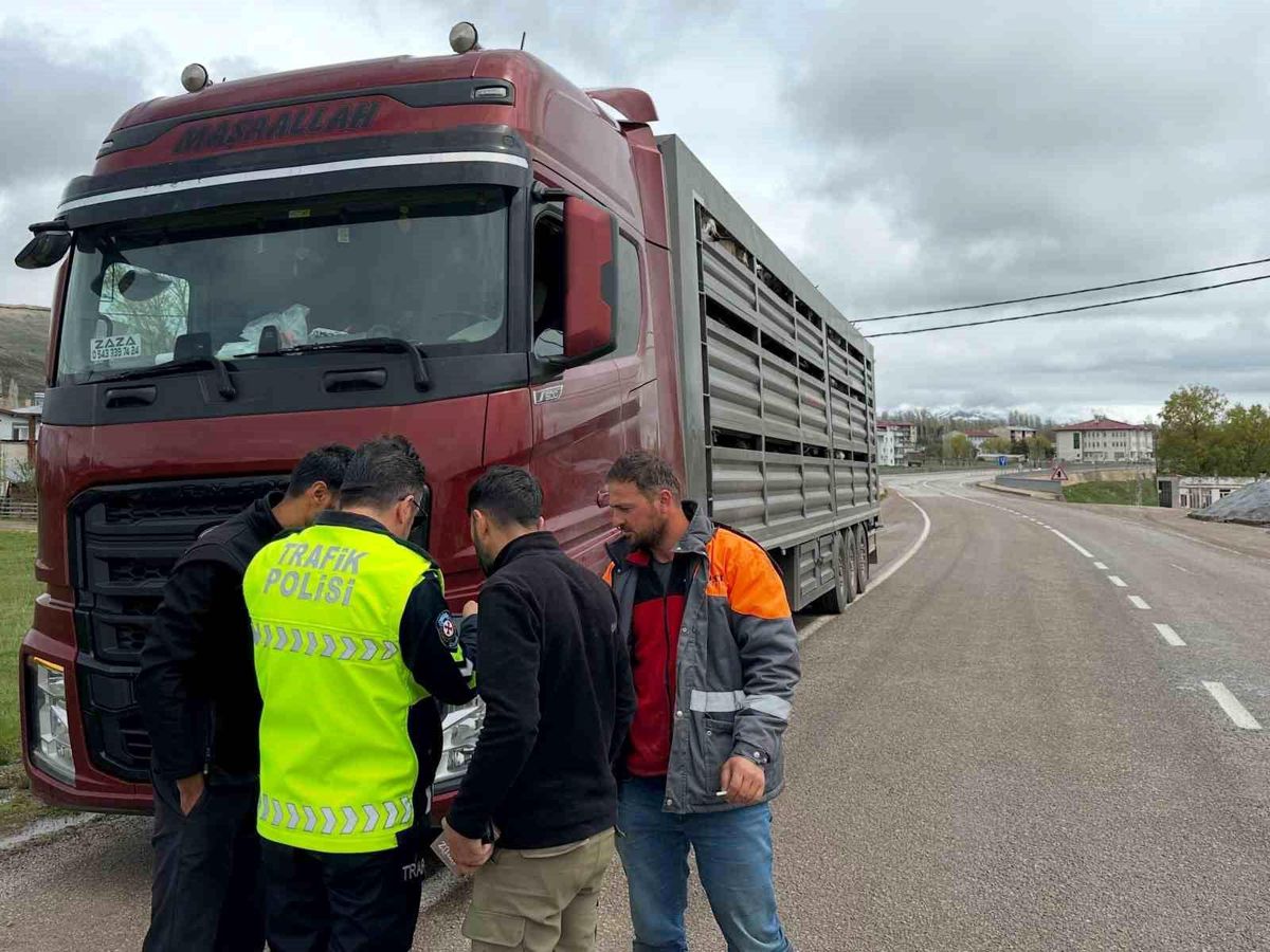Aydıntepe’de Hayvan Denetimleri Sürüyor