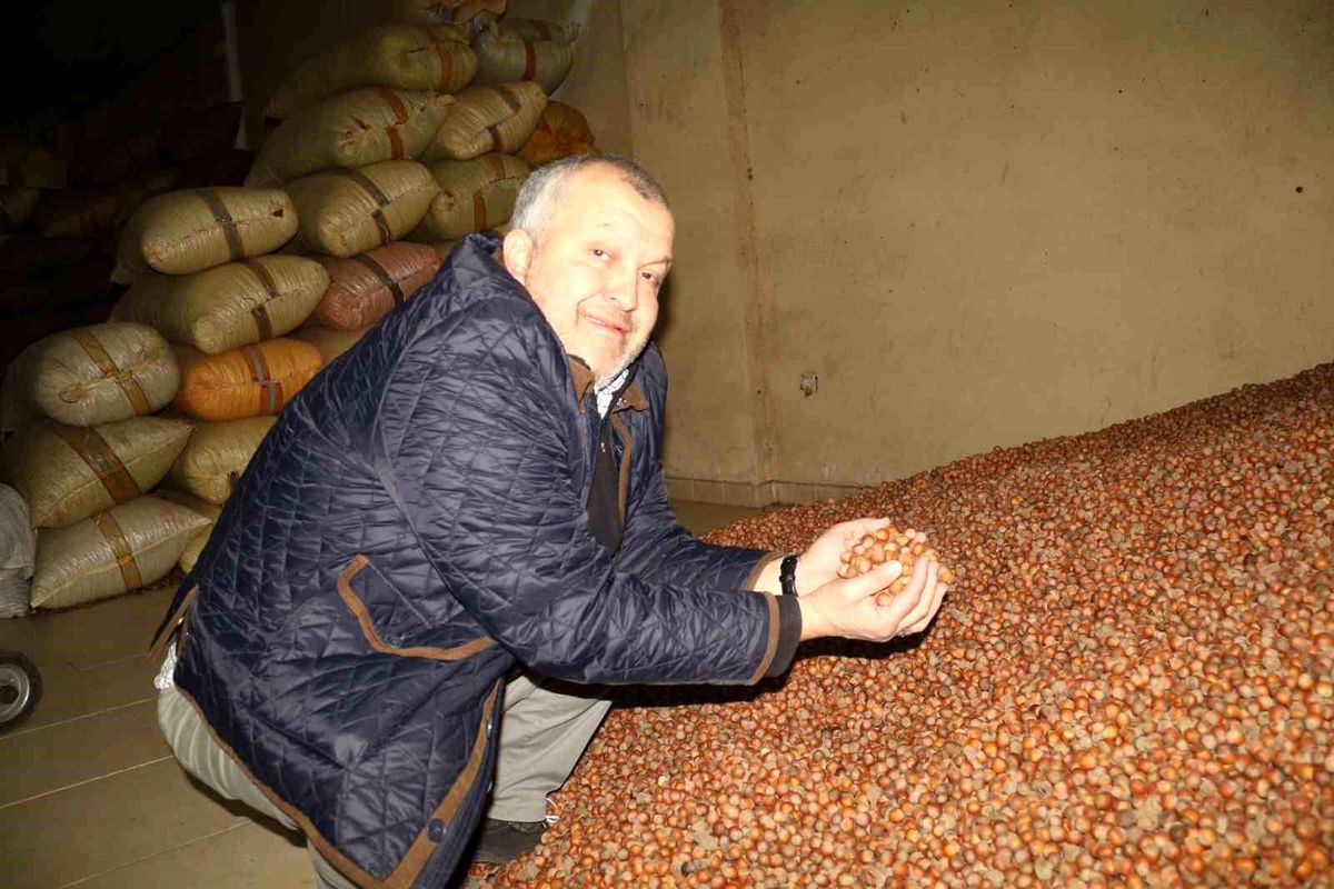Giresun’da Fındık Fiyatları Düşüşte