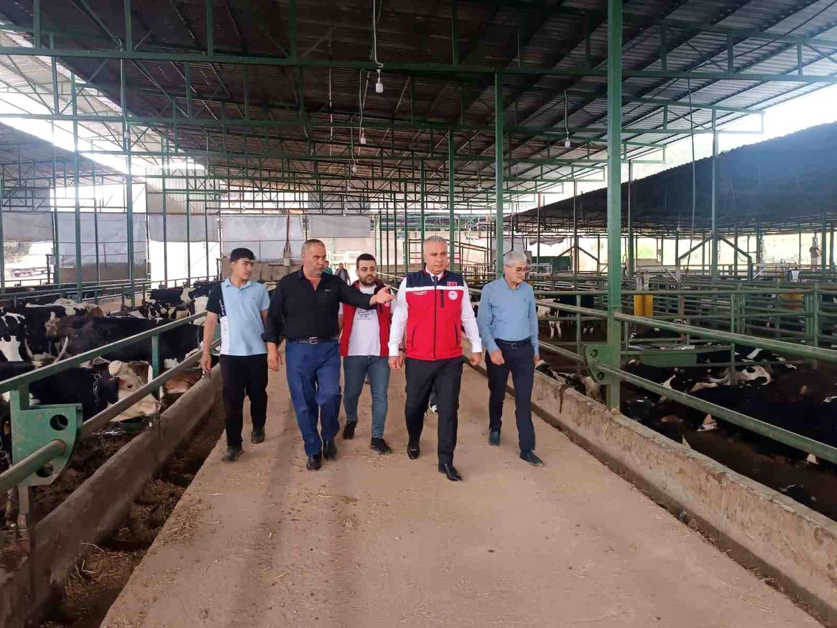 Hatay’da Kurban Bayramı Denetimleri