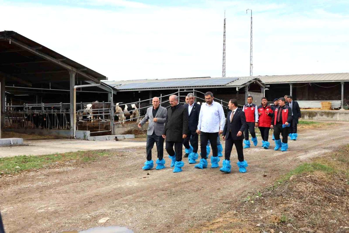 Vali Toraman’dan Biga’da Hayvancılık İncelemesi