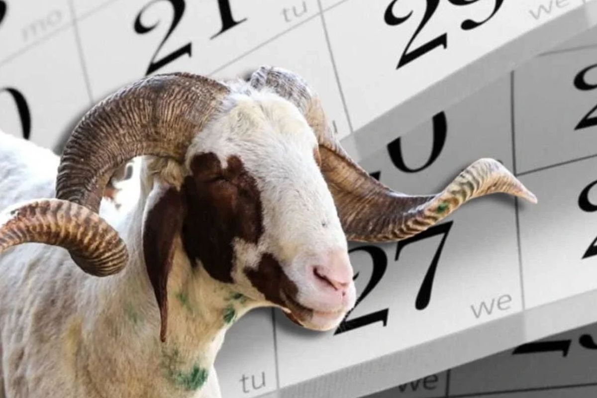 Kurban Bayramı tatili 9 gün oldu.