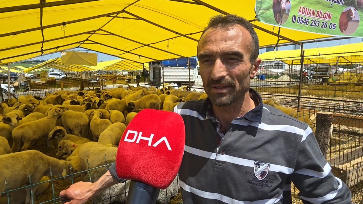 İstanbul’da Kurban Pazarındaki Fiyatlar