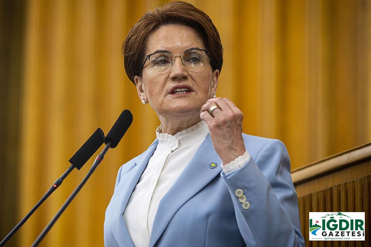 Kuruluş süreci tamamlandı! Meral Akşener, sahaya iniyor
