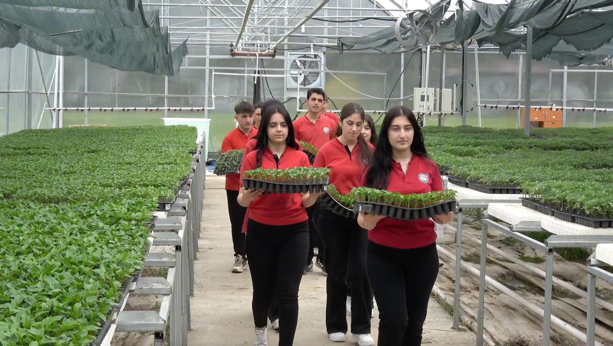 Erzincan Lisesi’nde Fide Üretimi