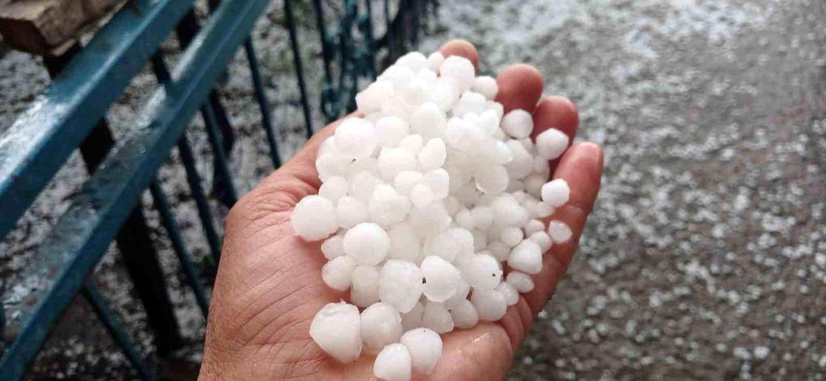 Malatya’da Dolu Zararı