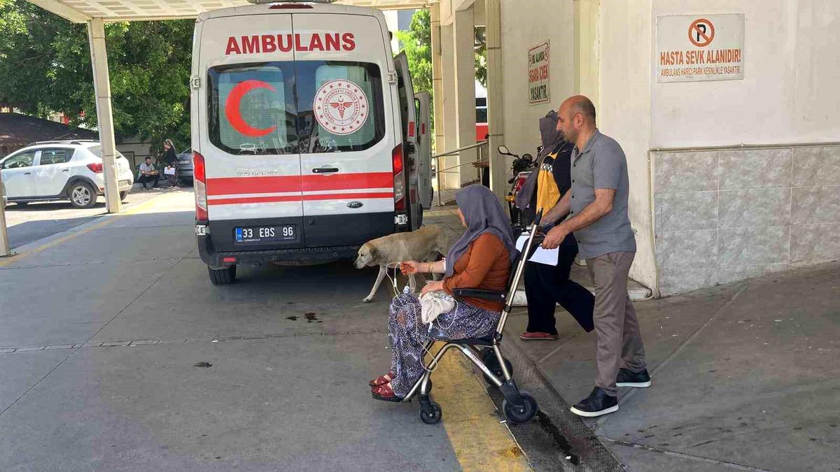 Mersin’de 7 Kişi Mantar Zehirlenmesi Şüphesiyle Hastaneye Kaldırıldı