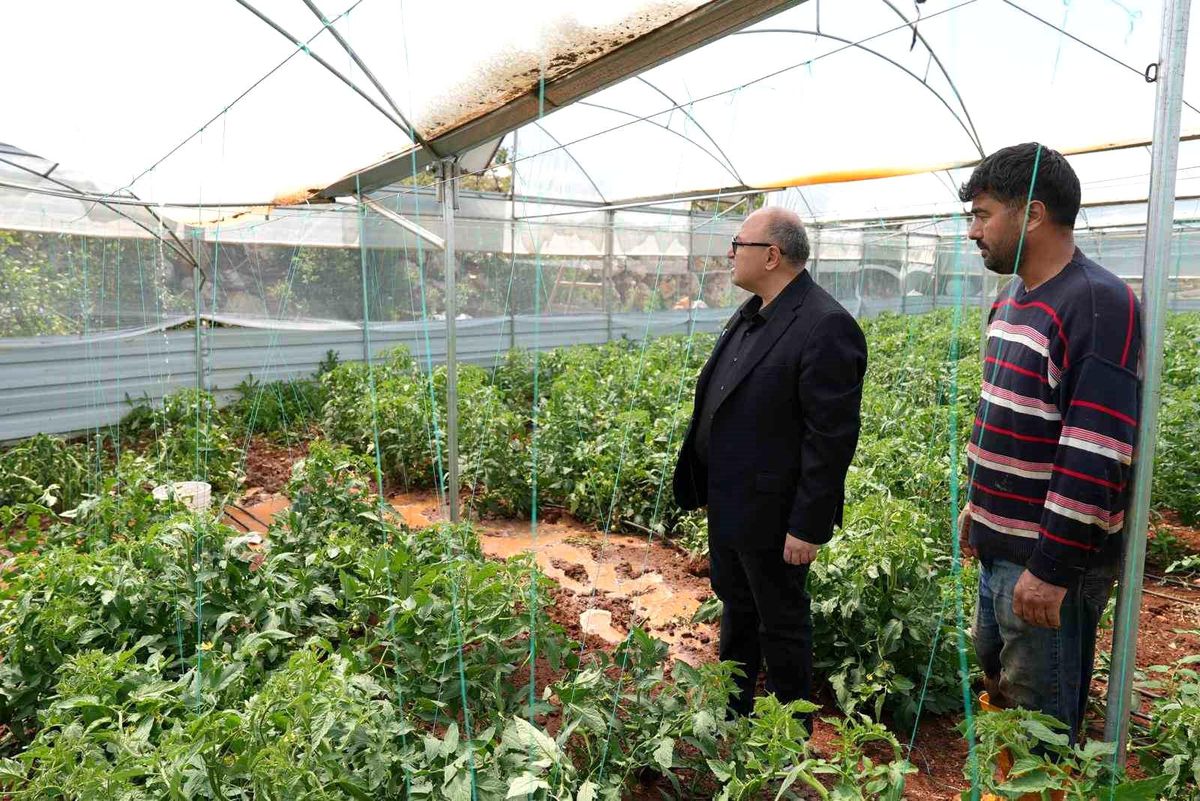 Mersin’de dolu, sebze tarlaları ve meyve bahçelerine zarar verdi