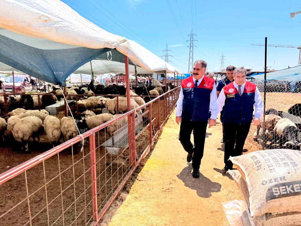 Mersin’de Kurbanlık Satış Denetimleri
