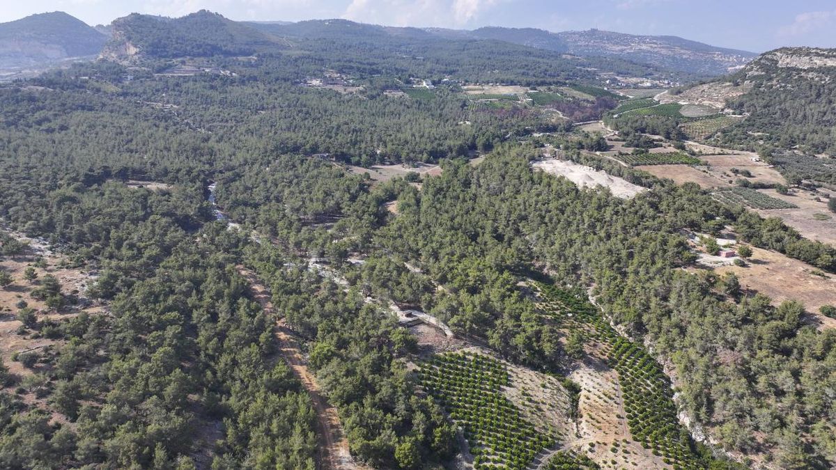 Mersin’de Orman Alanlarına Giriş Yasaklandı