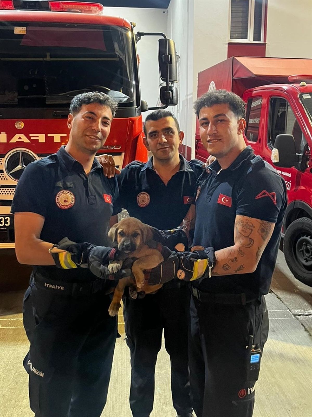 Otomobilin Motoruna Sıkışan Köpek Kurtarıldı